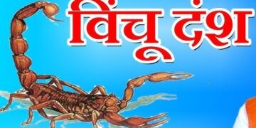 Free anti-venom serum on scorpion bites