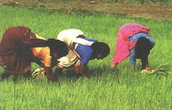 Accelerating the country's development through women empowerment