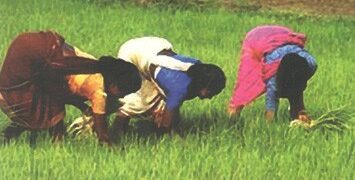 Accelerating the country's development through women empowerment