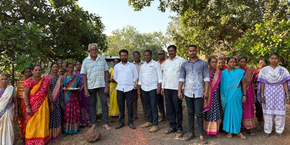 NCP accelerates development work