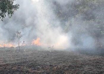 Fire in forest area of Varveli