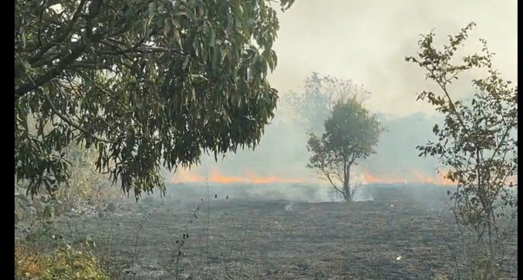 Fire in forest area of Varveli