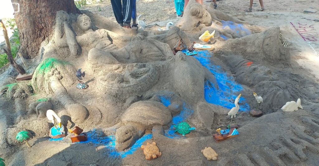 Blue Flag Beach Accreditation