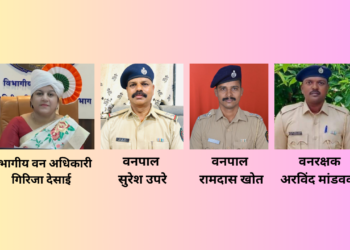 Performance of the Forest Department