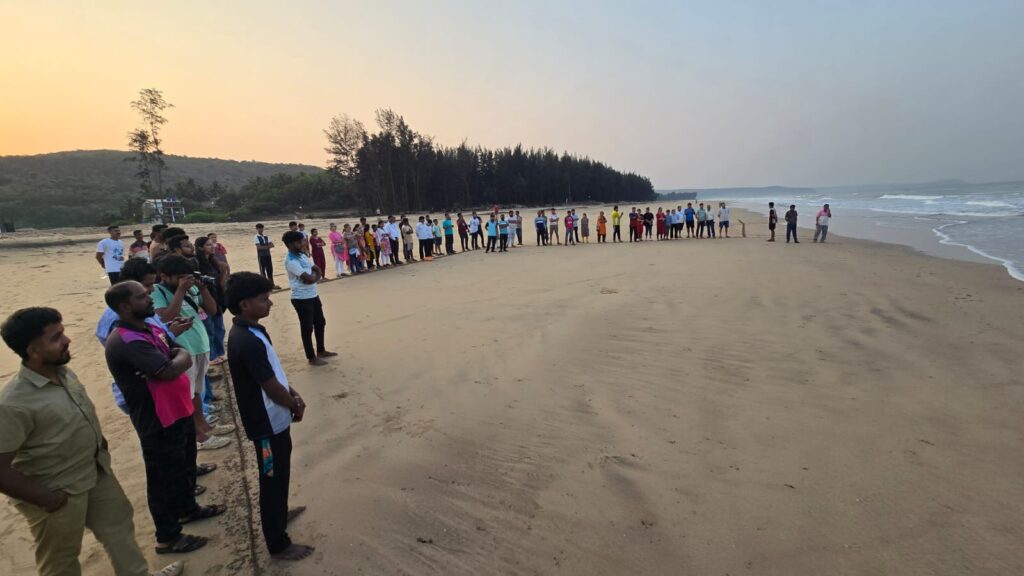 Turtle Festival Begins in Guhagar