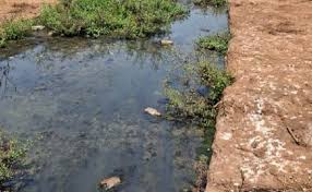 Water Source at Shringartali Polluted