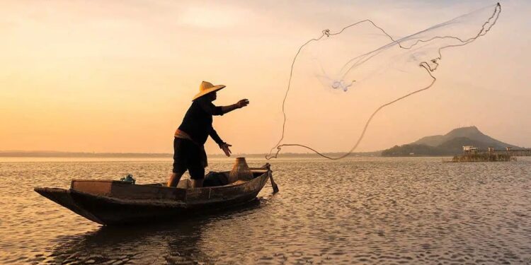 Illegal LED fishing continues