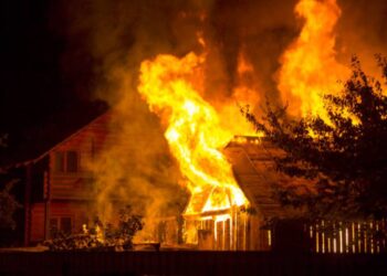 Animal deaths in fire