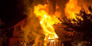 Animal deaths in fire