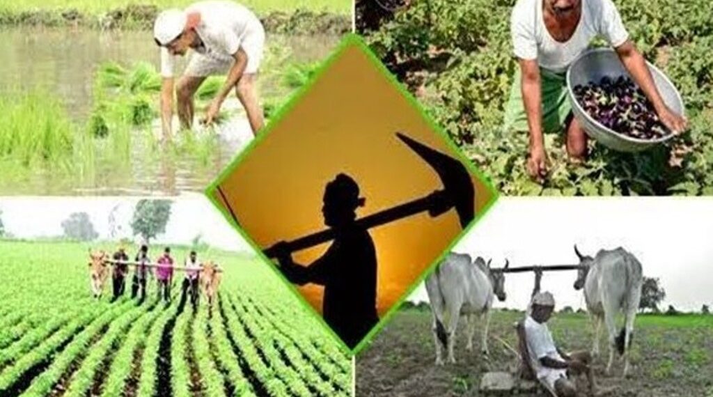 Agriculture Department Campaigns