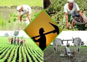 Agriculture Department Campaigns