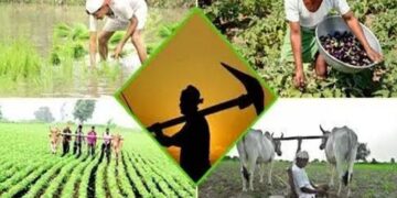 Agriculture Department Campaigns