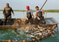Fishing ban period to be extended