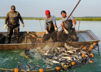 Fishing ban period to be extended