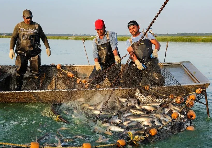 Fishing ban period to be extended