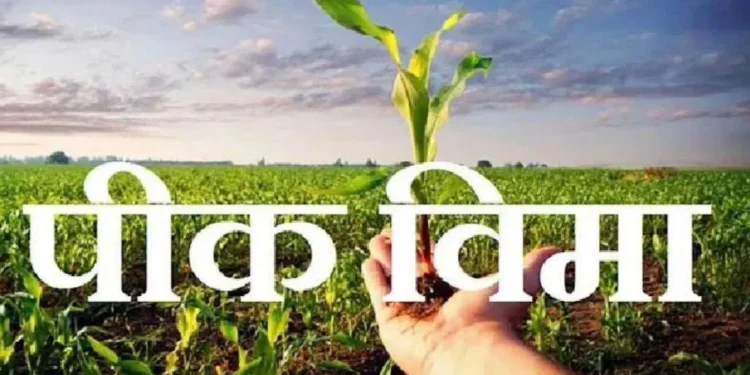 Crop Insurance Scheme
