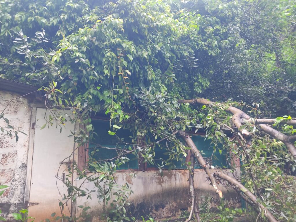 Heavy rain in Guhagar