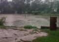 Revival of Someshwar Lake in Guhagar