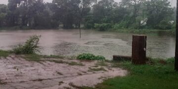 Revival of Someshwar Lake in Guhagar