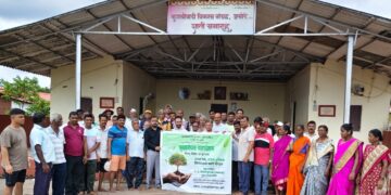 Tree plantation at Asore