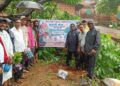 Planting of rare trees in Kudali