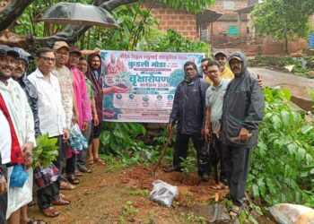 Planting of rare trees in Kudali