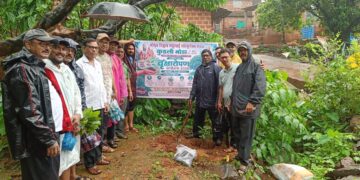 Planting of rare trees in Kudali