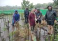 Tree plantation in Velneshwar
