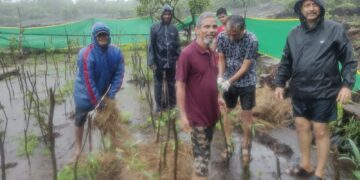 Tree plantation in Velneshwar