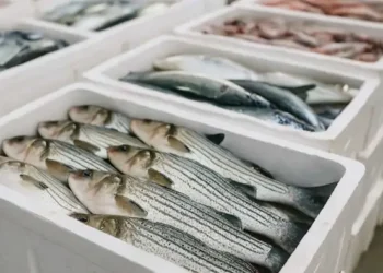 Path cleared for fresh fish exports