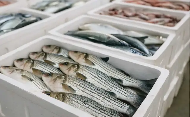 Path cleared for fresh fish exports