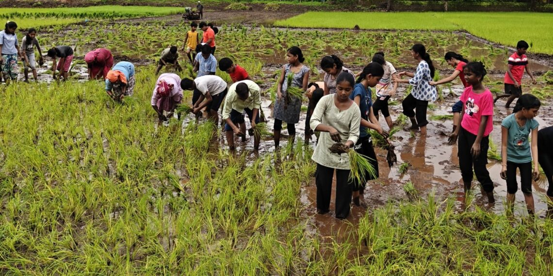 Guhagar High School's rice planting field visit