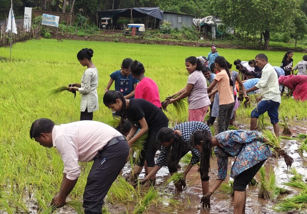 Guhagar High School's rice planting field visit