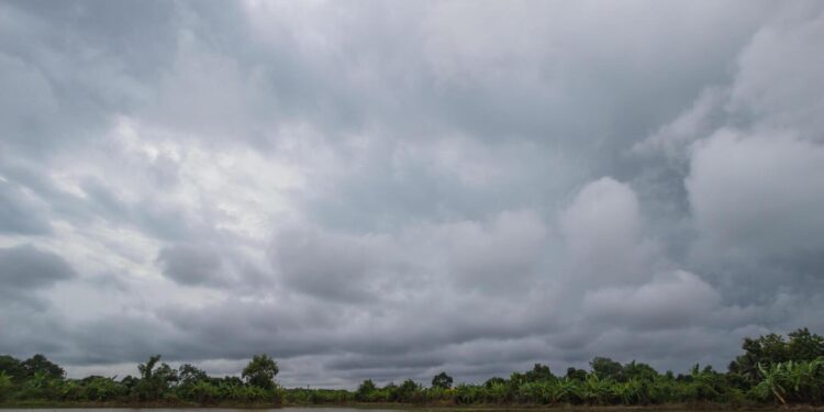 Rain break