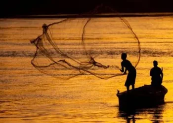 Permission for fishing within national waters