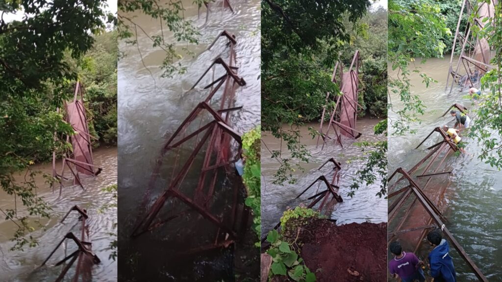 Bull dies after iron bridge collapses