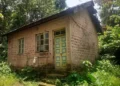 Work at Hedvi Veterinary Hospital stalled
