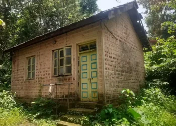 Work at Hedvi Veterinary Hospital stalled