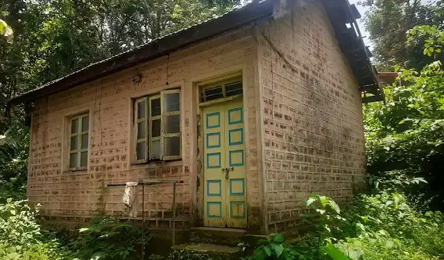 Work at Hedvi Veterinary Hospital stalled
