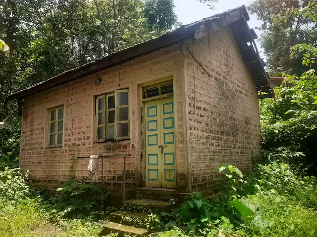 Work at Hedvi Veterinary Hospital stalled