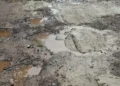 Contractor's substandard construction