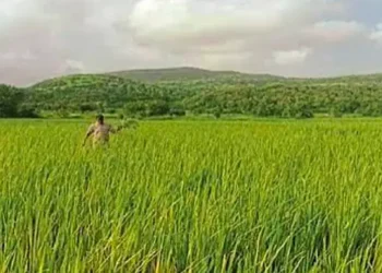 Government's 'roadmap' ready