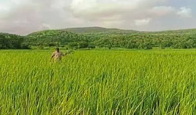 Government's 'roadmap' ready