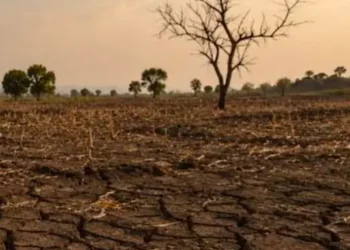 Drought-affected talukas declared