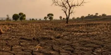 Drought-affected talukas declared
