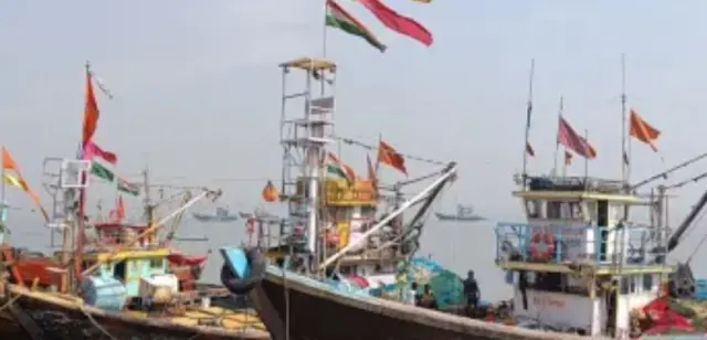 Decline in fish production this year