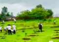 Tree Plantation Campaign