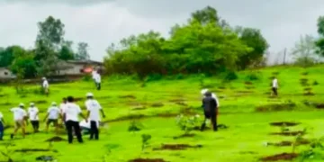 Tree Plantation Campaign