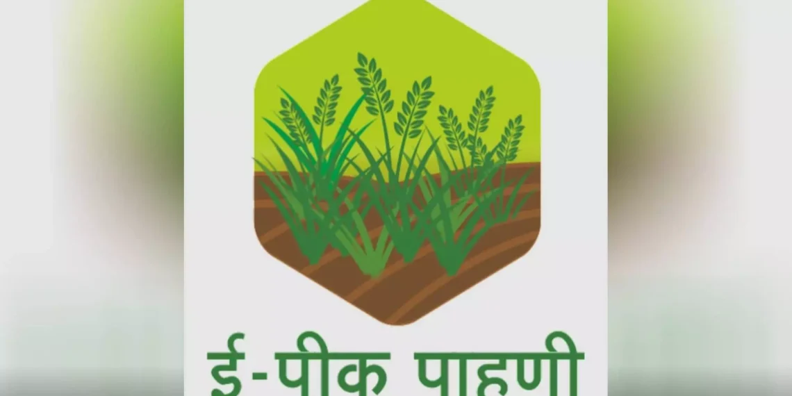 ई पीक पाहणी