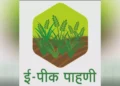ई पीक पाहणी